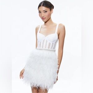 Alice + Olivia Sheer Bustier Embellished Ostrich Feathered Mini Dress